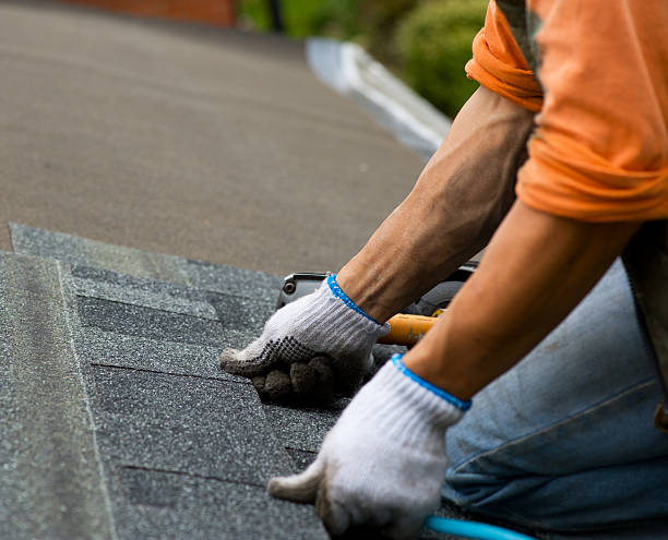 Best Roof Gutter Cleaning  in Auburn Hills, MI