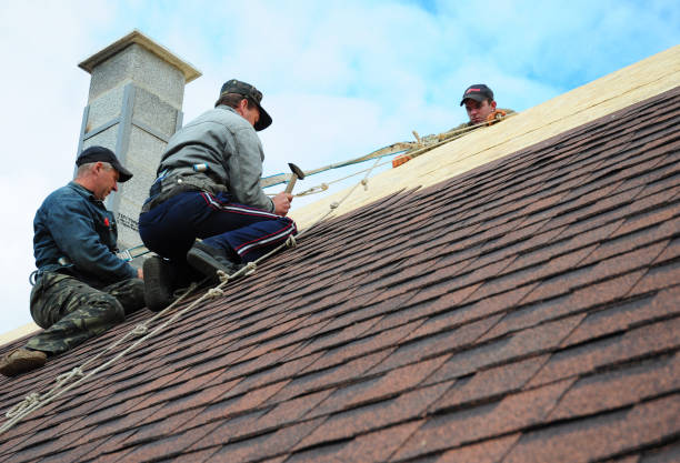 Roof Waterproofing Services in Auburn Hills, MI